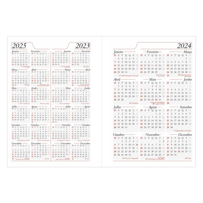 Agenda Diária 2025 Personalizada