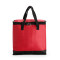 Bolsa Térmica 20 Litros Personalizada